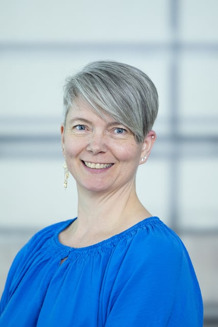 Profilbillede af Jane Brørup Philippsen, Seniorerhvervsrådgiver – Sundhedssektor