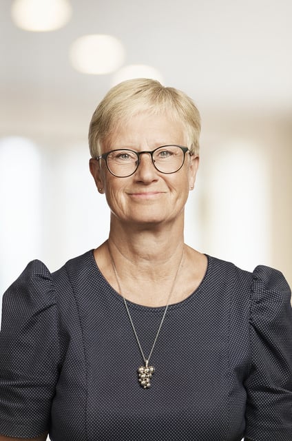 Profilbillede af Jette Wiese Høgholm, Seniorprivatrådgiver