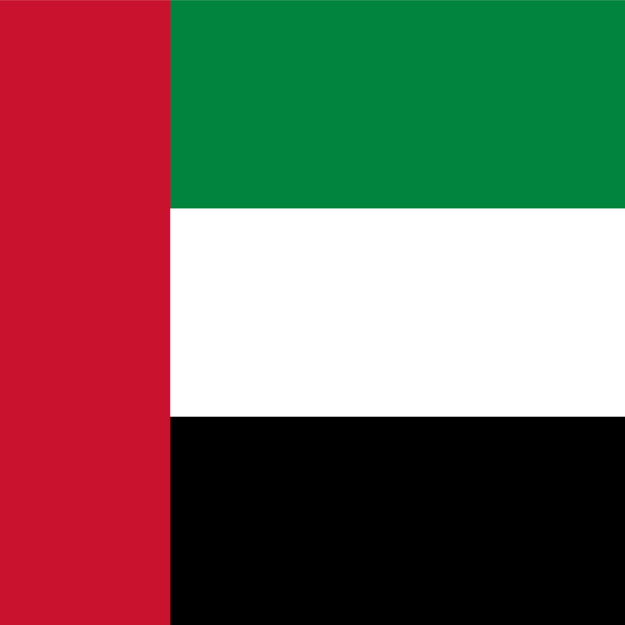 Forenede arabiske emirater flag