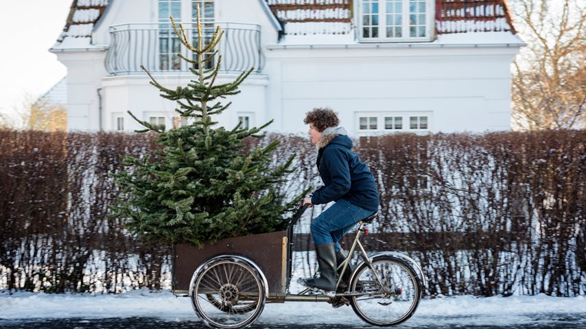 Dreng der cykler med jultræ