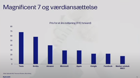 Magnificent_7_og_værdiansættelse.png